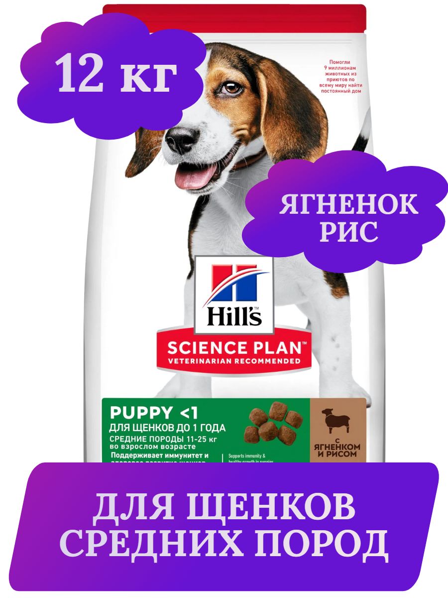 Hill's сухой корм для щенков средних пород с ягненком и рисом, корм для собак , 12 кг фото