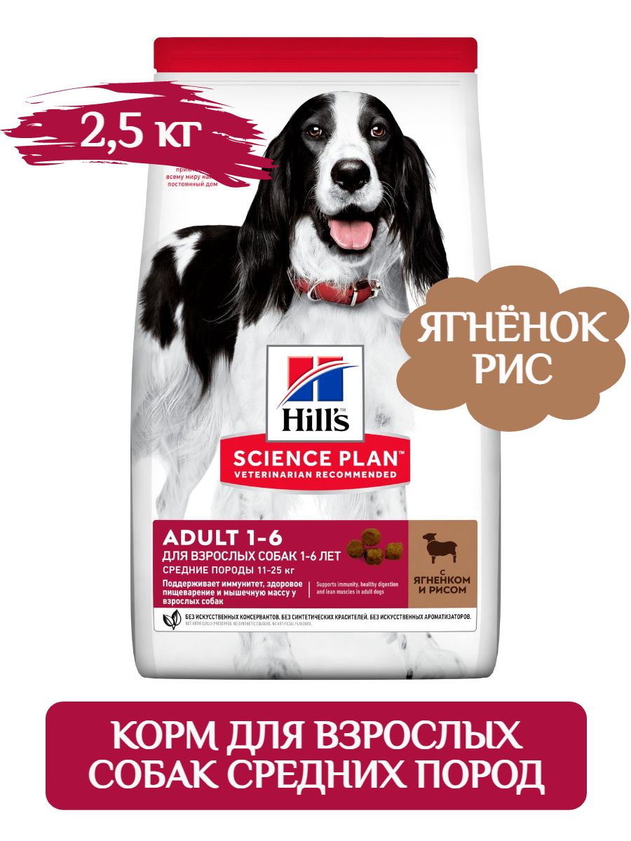 Hill's сухой корм для взрослых собак средних пород с ягнёнком и рисом, корм для собак 2,5 кг фото