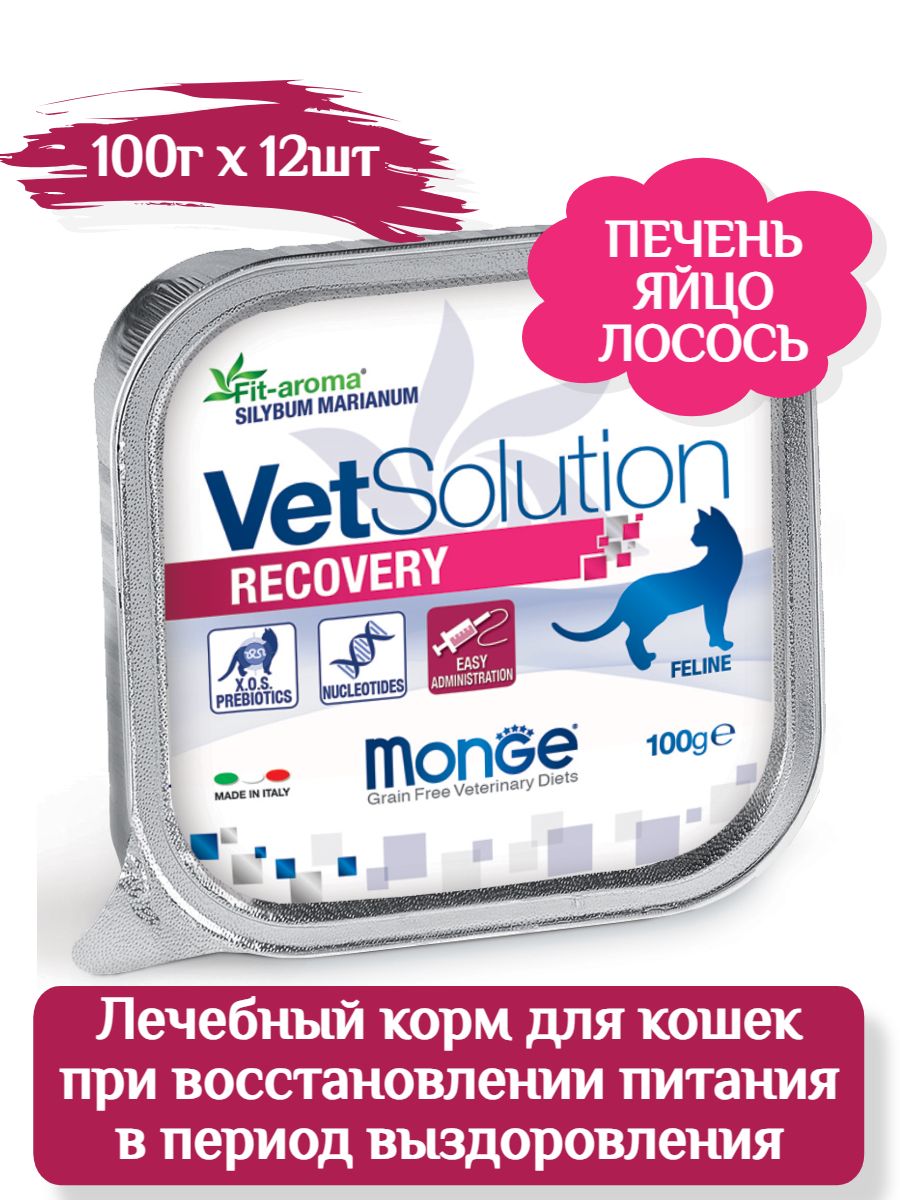 Monge VetSolution Cat Recovery Влажный ветеринарный корм для кошек для кошек при восстановлении питания в период выздоровления, 100г х 12шт фото