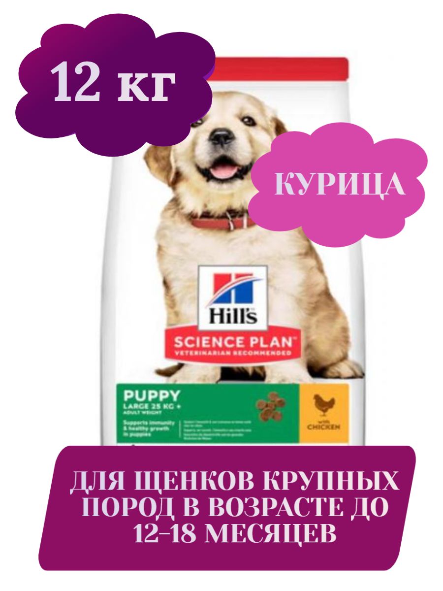 Hill's для щенков крупных пород с курицей ,сухой корм для щенков , корм для собак, 12 кг фото