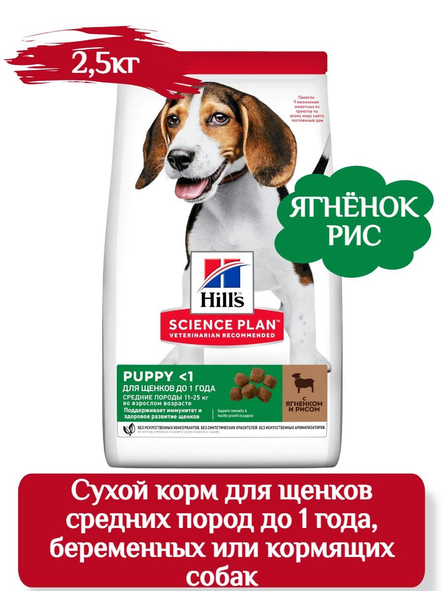 Hill's сухой корм для щенков средних пород с ягненком и рисом, корм для собак , 2,5 кг фото